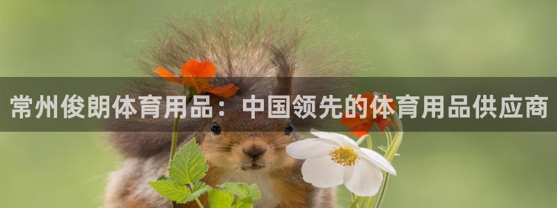 欧陆娱乐登录官网下载：常州俊朗体育用品：中国领先的体