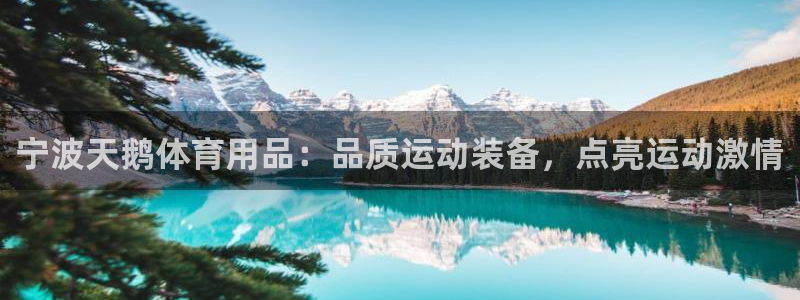 欧陆娱乐有限公司官网：宁波天鹅体育用品：品质运动装备
