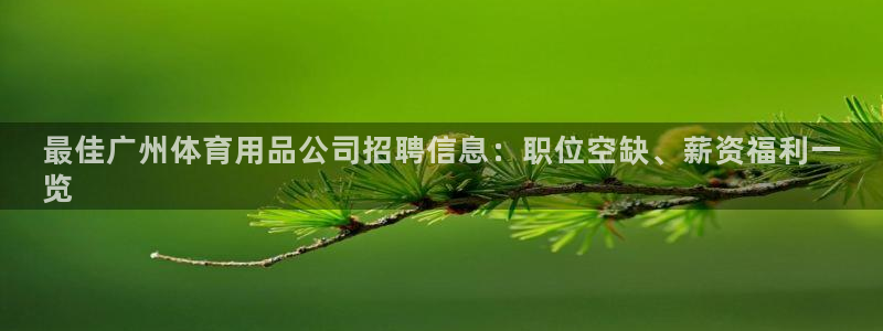 欧陆娱乐登录测速怎么关闭：最佳广州体育用品公司招聘信