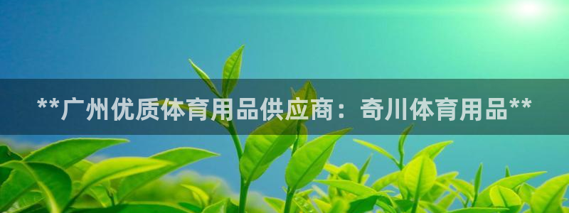 欧陆娱乐出款了吗：**广州优质体育用品供应商：奇川体