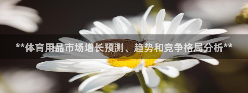 欧陆娱乐app打不开怎么回事：**体育用品市场增长预测、趋势