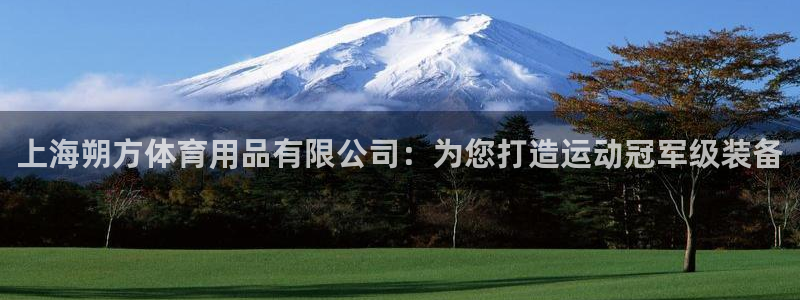 欧陆娱乐登录官网网址：上海朔方体育用品有限公司：为您
