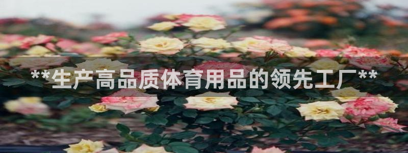 欧陆娱乐登陆官网下载：**生产高品质体育用品的领先工