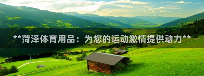 欧陆娱乐平台咋样啊赚钱：**菏泽体育用品：为您的运动