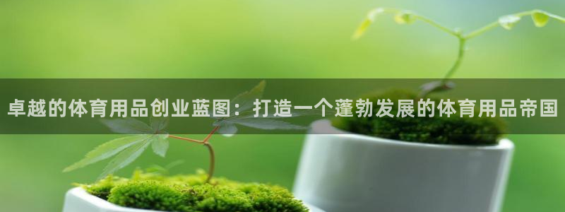 欧陆娱乐平台登陆地址在哪里：卓越的体育用品创业蓝图：