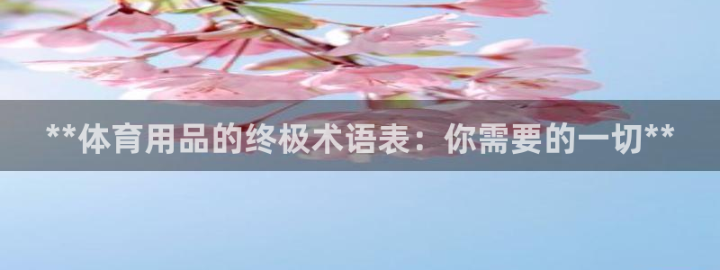 欧陆娱乐合法吗：**体育用品的终极术语表：你需要的一
