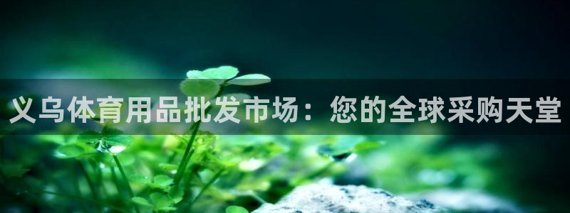 欧陆娱乐测速：义乌体育用品批发市场：您的全球采购天堂
