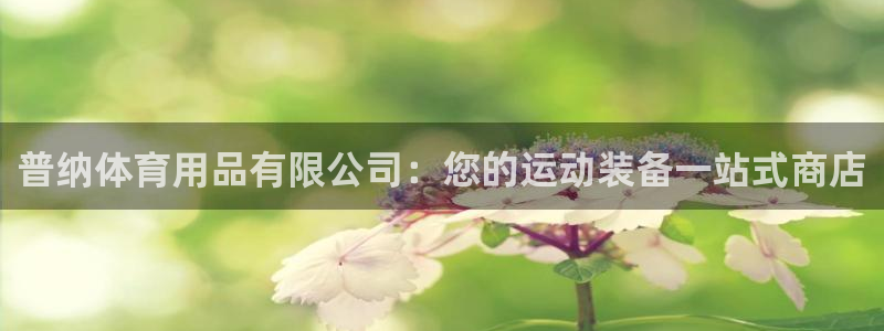 欧陆娱乐官网网址大全：普纳体育用品有限公司：您的运动装备一站