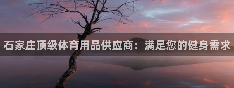 欧陆娱乐平台咋样赚钱快：石家庄顶级体育用品供应商：满