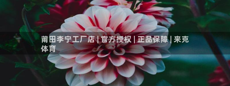 欧陆娱乐累计盈利多少就会被劝退呢：莆田李宁工厂店 |