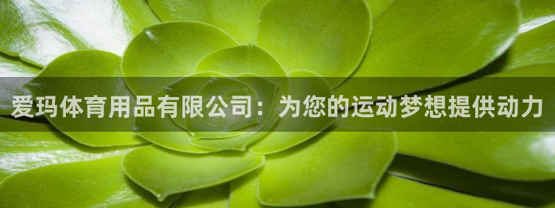 欧陆娱乐是正规吗?：爱玛体育用品有限公司：为您的运动
