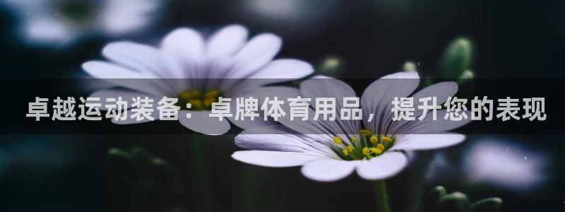 欧陆娱乐代理 贴吧怎么样： 卓越运动装备：卓牌体育用