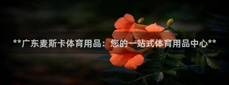 欧陆娱乐百科：**广东麦斯卡体育用品：您的一站式体育