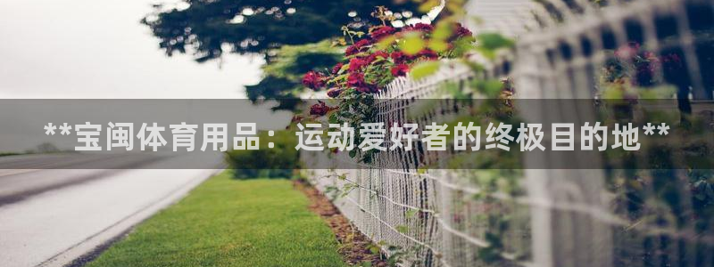 欧陆娱乐提现多久到账：**宝闽体育用品：运动爱好者的