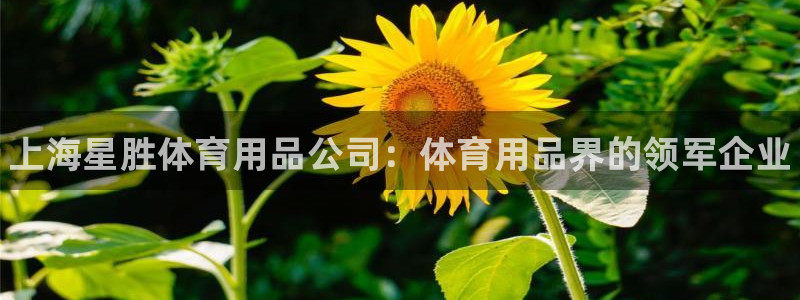 欧陆娱乐官网网址是什么：上海星胜体育用品公司：体育用