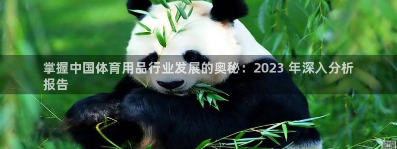 欧陆娱乐计划预测软件