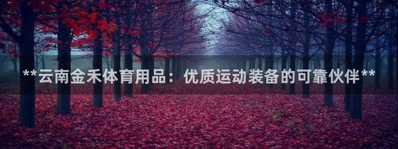 欧陆娱乐客服电话：**云南金禾体育用品：优质运动装备的可靠伙