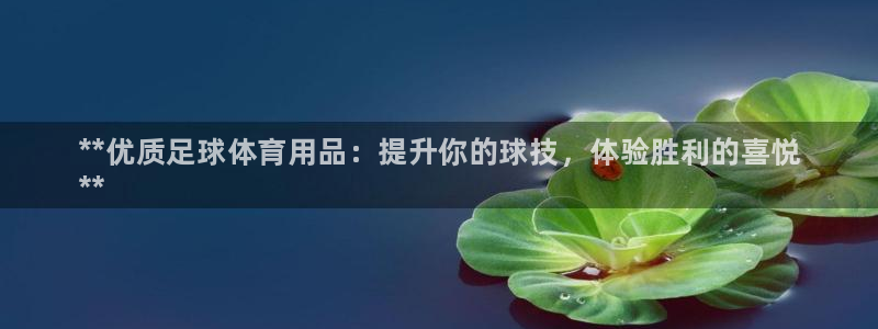 欧陆娱乐里面怎么看打排五