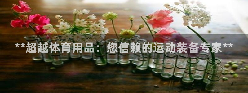 欧陆娱乐平台登陆地址是什么：**超越体育用品：您信赖的运动装