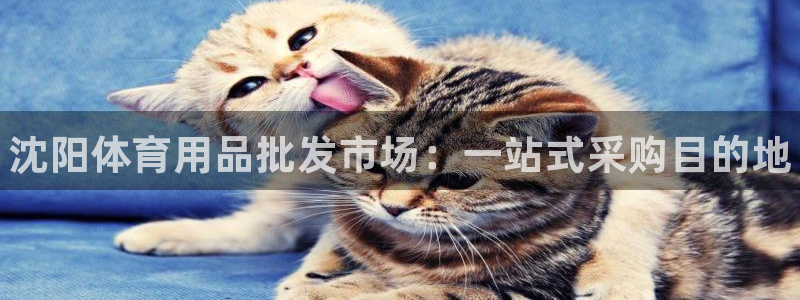 欧陆娱乐合法吗：沈阳体育用品批发市场：一站式采购目的