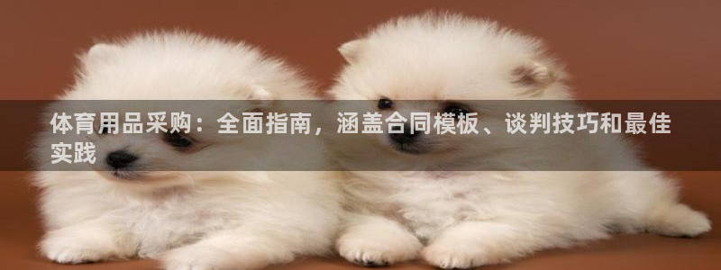 欧陆娱乐不让提现：体育用品采购：全面指南，涵盖合同模板、谈判