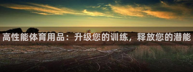 欧陆娱乐官网：高性能体育用品：升级您的训练，释放您的潜能