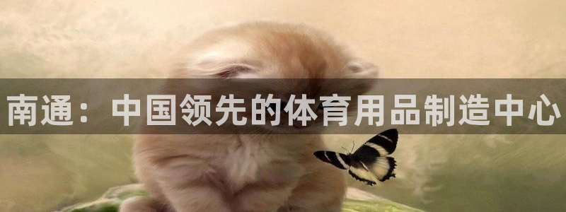 欧陆娱乐可以退钱：南通：中国领先的体育用品制造中心