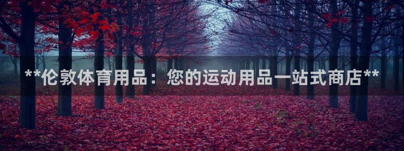 欧陆娱乐代理多少个点位：**伦敦体育用品：您的运动用品一站式