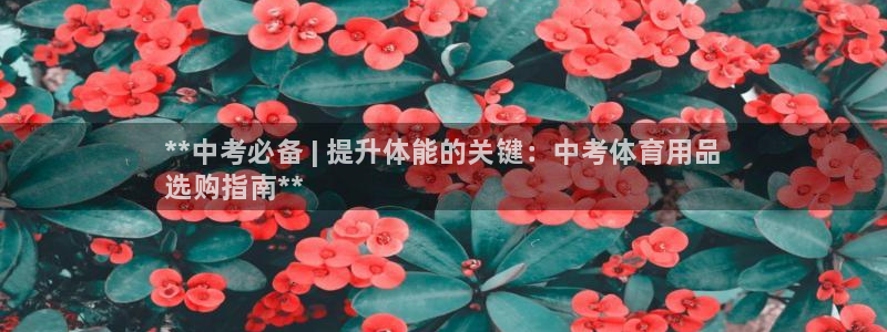 欧陆娱乐公司产品介绍大全：**中考必备 | 提升体能