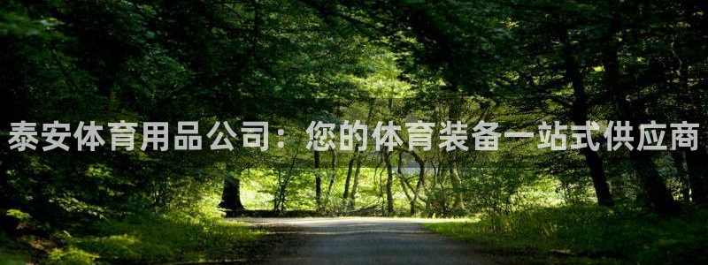 欧陆娱乐官网注册中心：泰安体育用品公司：您的体育装备