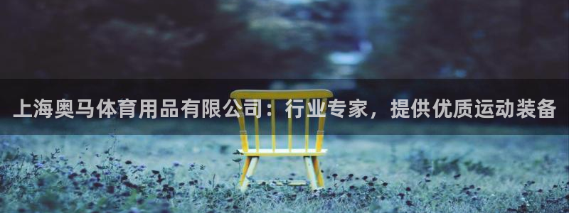 欧陆娱乐平台登陆地址在哪：上海奥马体育用品有限公司：行业专家